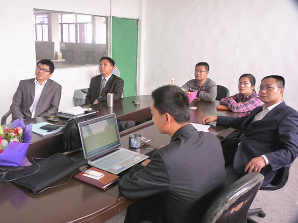 2011年3月15日，正睿咨詢專家向凱東決策層陳述調(diào)研報告