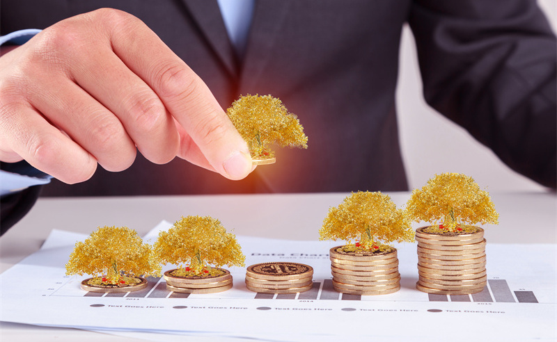 業(yè)績管理與績效評估、薪酬管理和職業(yè)發(fā)展之間的關系