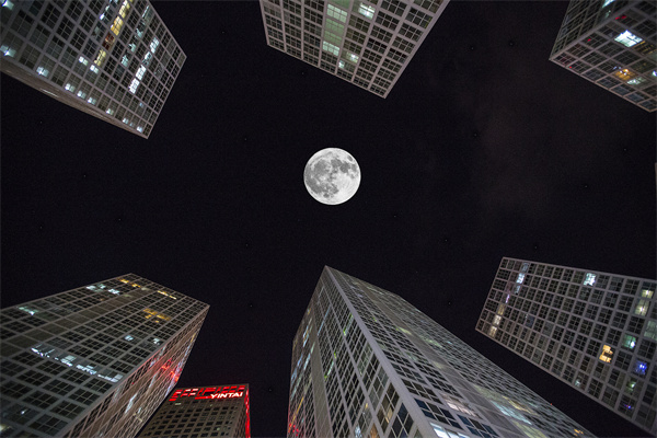 「營銷管理咨詢」解鎖社交媒體的力量，讓品牌騰飛！