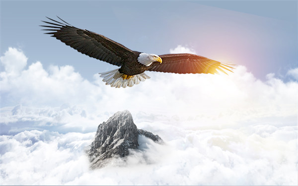 組織規(guī)劃引領(lǐng)企業(yè)變革，塑造全新管理模式與未來