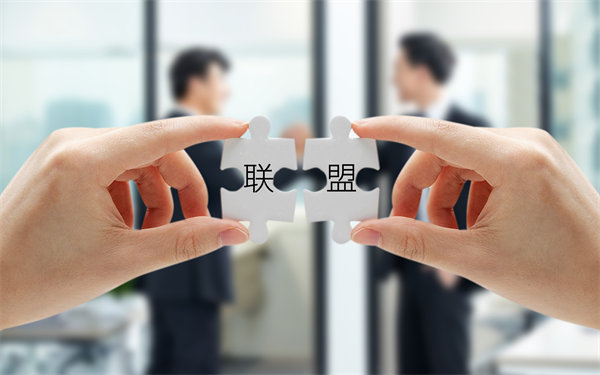 戰(zhàn)略聯(lián)盟與合作：強強聯(lián)手，共創(chuàng)未來