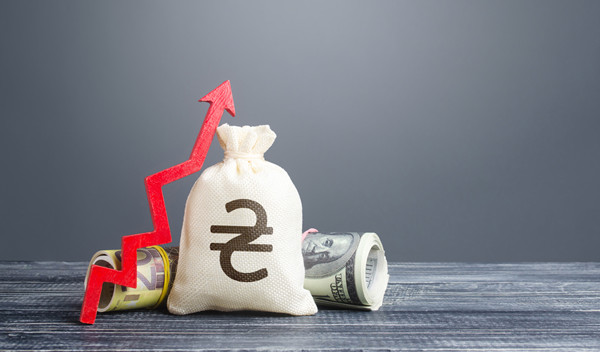 預(yù)算管理中的風(fēng)險(xiǎn)評估與應(yīng)對策略有哪些？