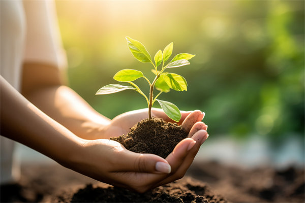 可持續(xù)發(fā)展成為趨勢，企業(yè)如何融入綠色戰(zhàn)略以促增長？