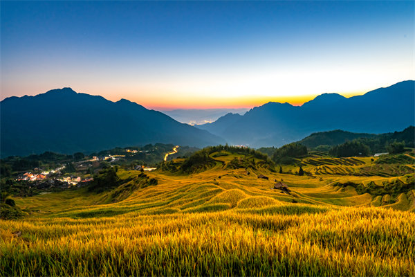 定制化管理咨詢方案：麗水企業(yè)轉(zhuǎn)型升級(jí)的鑰匙？