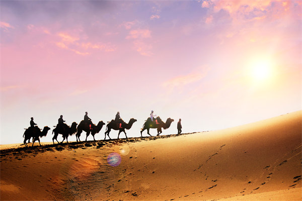 企業(yè)文化在人力資源管理中，扮演著怎樣的角色？