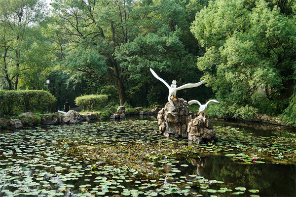 如何挑選適合株洲企業(yè)的專業(yè)管理咨詢公司？