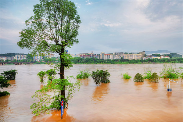 供應(yīng)鏈韌性建設(shè)：面對自然災(zāi)害的應(yīng)急計劃與恢復(fù)力？