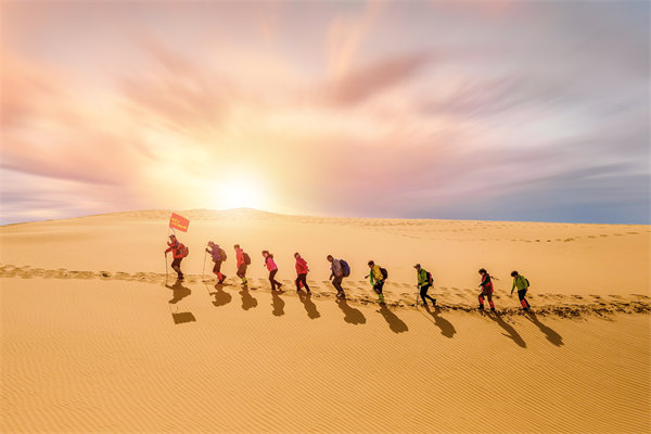 組織需要擴大規(guī)模時，如何確保資源有效整合與配置？