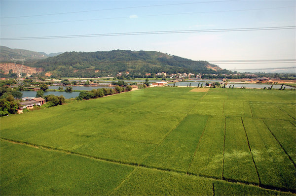 清遠(yuǎn)績(jī)效咨詢公司如何定制高效績(jī)效管理體系？