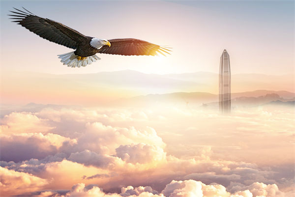 企業(yè)文化與企業(yè)管理如何協(xié)同，推動企業(yè)持續(xù)發(fā)展？