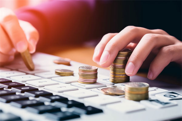 預算分析過程中，如何識別并糾正數(shù)據(jù)偏差，確保準確性？