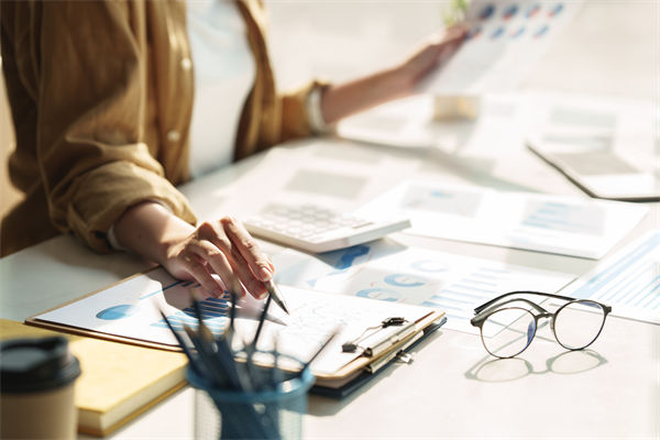 在預(yù)算執(zhí)行中，如何確保監(jiān)控與調(diào)整機(jī)制的有效性？