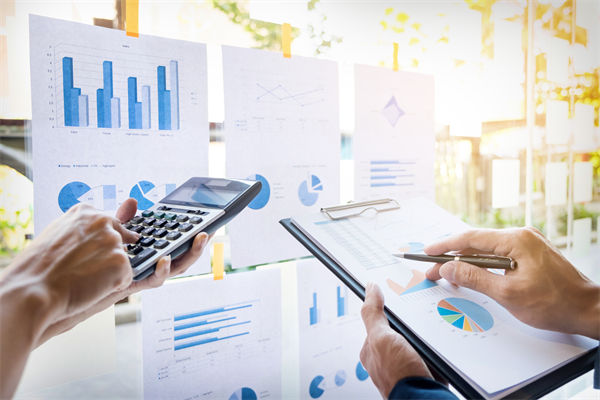 在預(yù)算執(zhí)行中，如何確保監(jiān)控與調(diào)整機(jī)制的有效性？