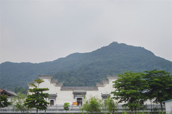 佛山組織規(guī)劃咨詢公司如何優(yōu)化企業(yè)人才梯隊(duì)建設(shè)？