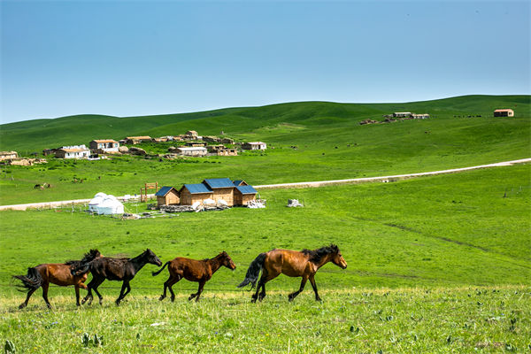 飛新疆的機(jī)票價(jià)格漲爆了，什么情況？是營(yíng)銷炒作？