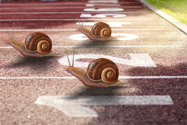 新業(yè)務(wù)拓展艱難，年度經(jīng)營計劃為其定制專屬發(fā)展路徑