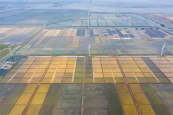 濰坊制造業(yè)招工難留人更難，濰坊人力資源咨詢公司如何破局用工困局？