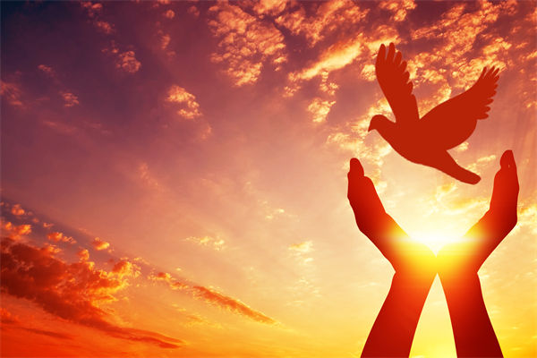 別讓盲卡盲盒“收割”孩子，關(guān)聯(lián)企業(yè)戰(zhàn)略怎么看？