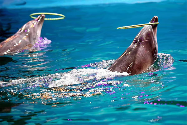 績(jī)效管理分析：公園月薪3萬招摸魚官每天工作2小時(shí)