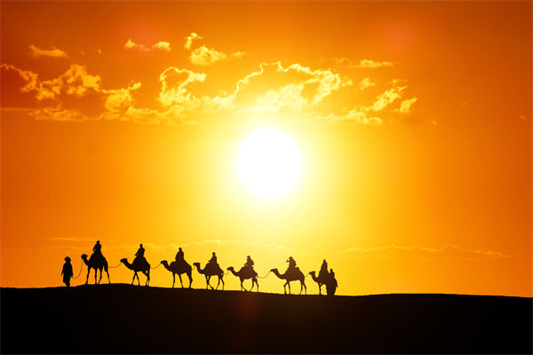 高層標榜的企業(yè)文化，如何穿透形式真正落地生根？