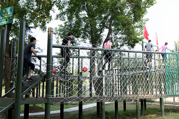 文化活動形式豐富多樣，組織凝聚力提升為何緩慢？