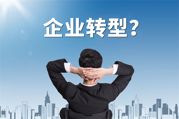 企業(yè)轉(zhuǎn)型無(wú)方向，數(shù)智化咨詢公司能否指引明路？