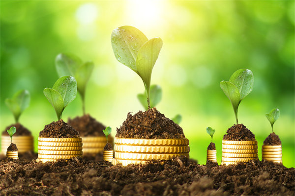 預(yù)算管理咨詢公司如何幫助企業(yè)破解資金錯配問題？