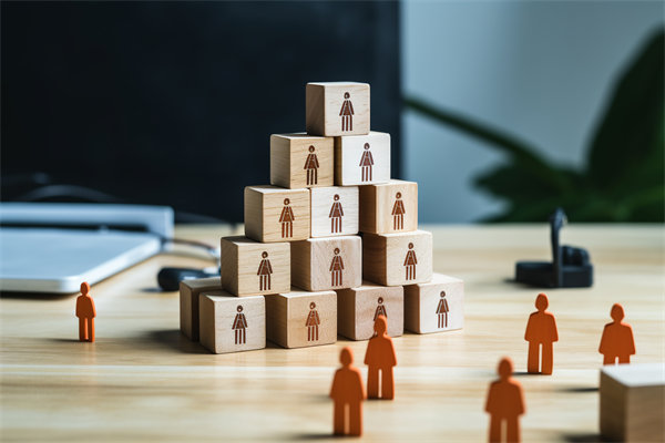 人力資源咨詢公司哪家好，適配企業(yè)戰(zhàn)略搭人才梯隊(duì)的